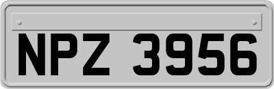 NPZ3956