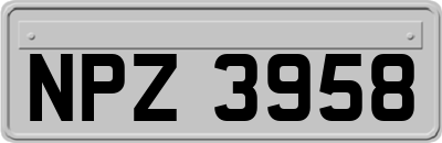NPZ3958
