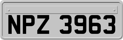 NPZ3963