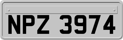 NPZ3974