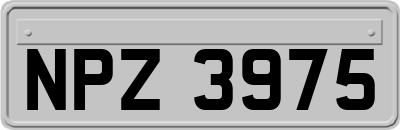 NPZ3975