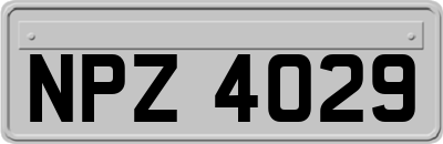 NPZ4029