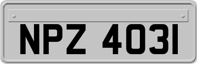 NPZ4031