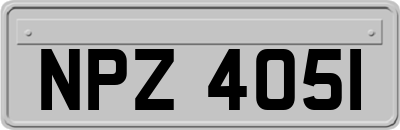 NPZ4051