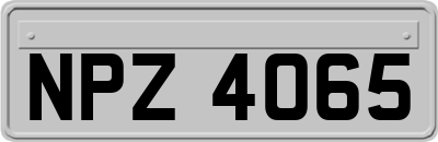 NPZ4065
