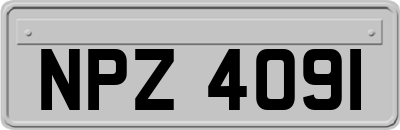NPZ4091