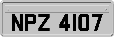 NPZ4107