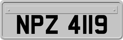 NPZ4119