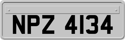 NPZ4134