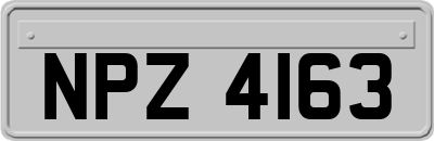 NPZ4163