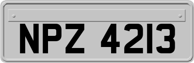 NPZ4213
