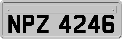 NPZ4246