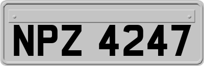 NPZ4247