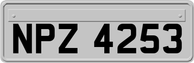 NPZ4253