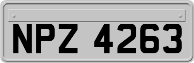 NPZ4263