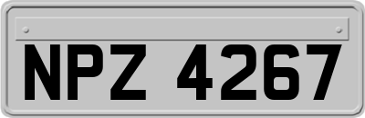NPZ4267