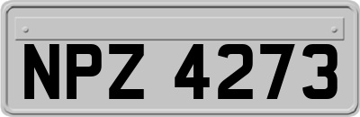 NPZ4273