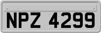 NPZ4299