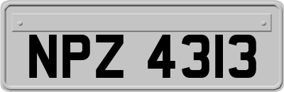 NPZ4313