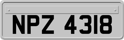 NPZ4318