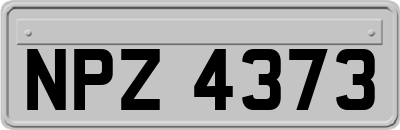NPZ4373