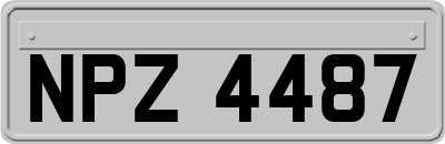 NPZ4487