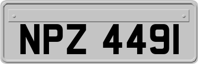 NPZ4491