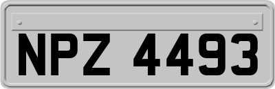 NPZ4493