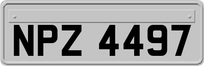 NPZ4497