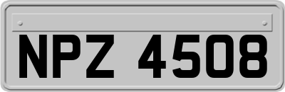 NPZ4508