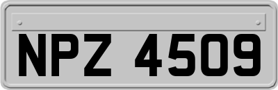 NPZ4509
