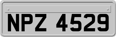 NPZ4529