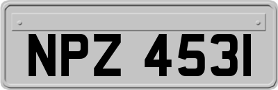 NPZ4531