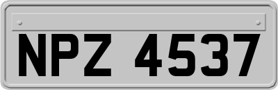 NPZ4537