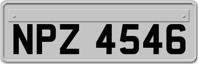 NPZ4546