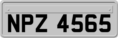 NPZ4565
