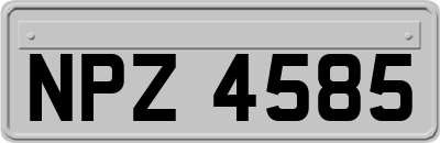 NPZ4585