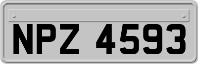 NPZ4593