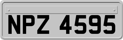 NPZ4595