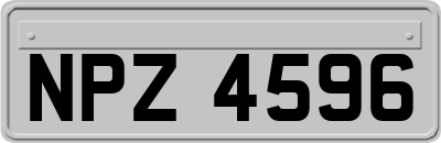 NPZ4596