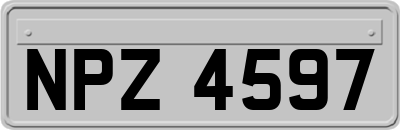 NPZ4597