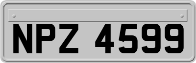 NPZ4599