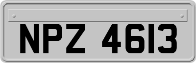 NPZ4613