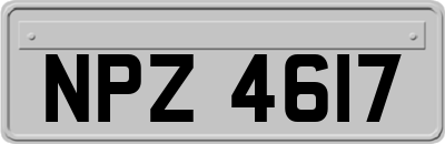 NPZ4617