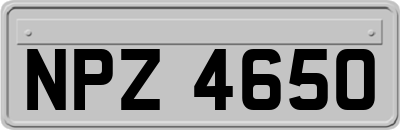 NPZ4650