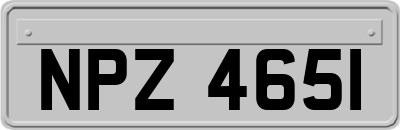 NPZ4651