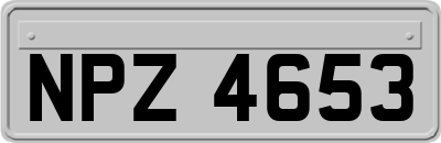 NPZ4653