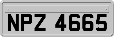 NPZ4665