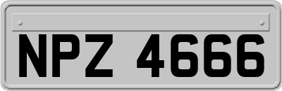 NPZ4666