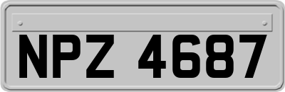 NPZ4687